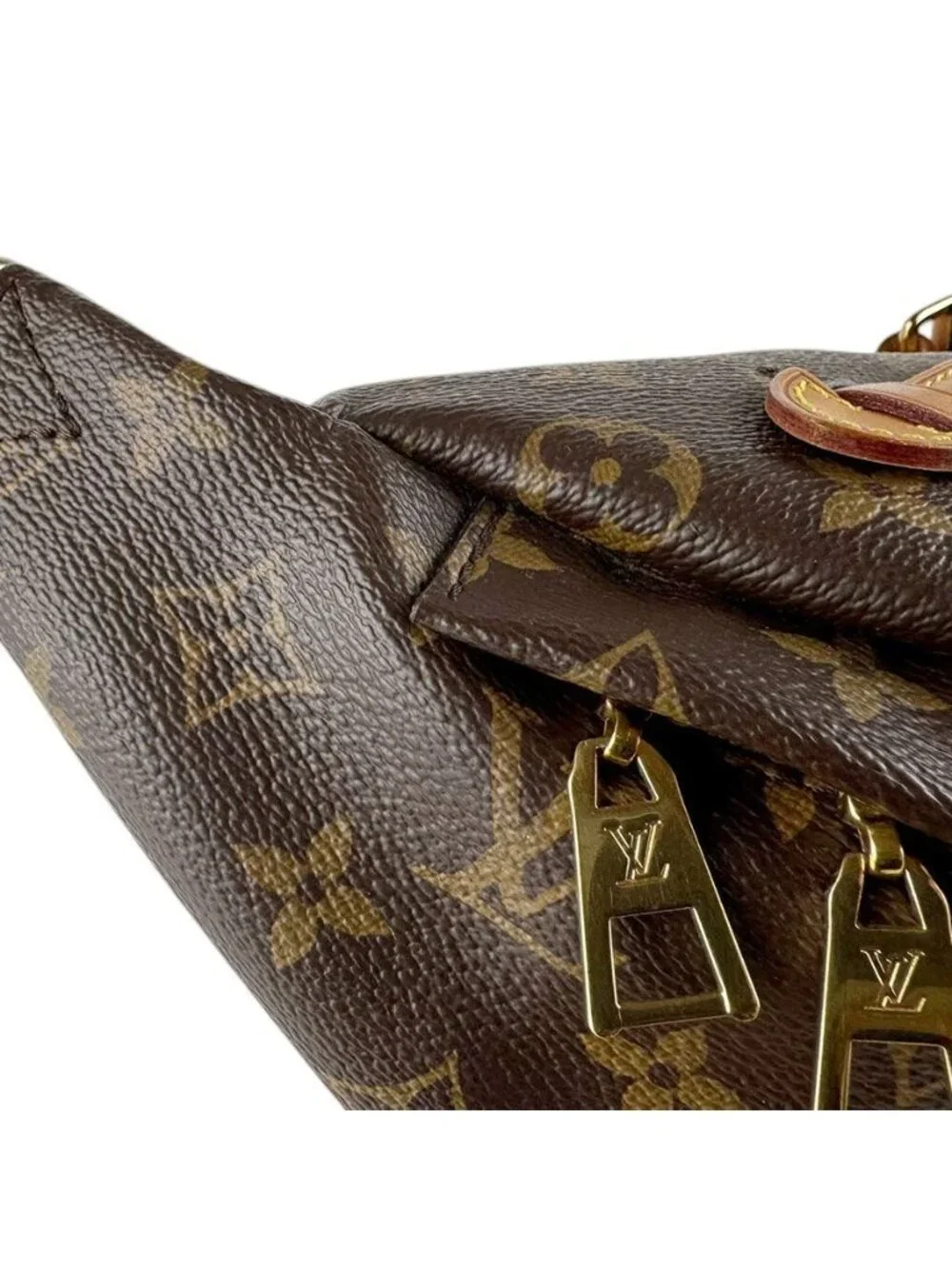 Louis Vuitton Belt Bag Monogram - Picture 6 of 10